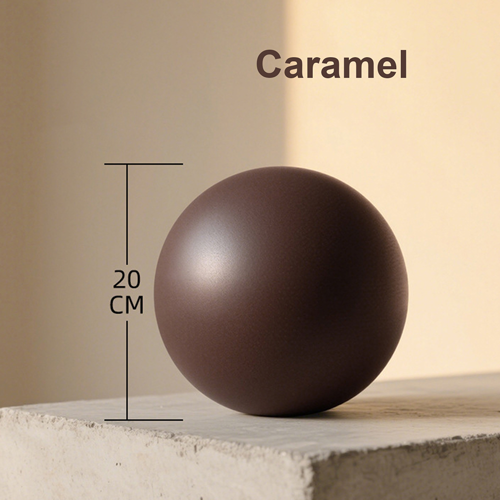 20cm Matte Exercise Ball Barre - Pilates Yoga Matte 评论和价格