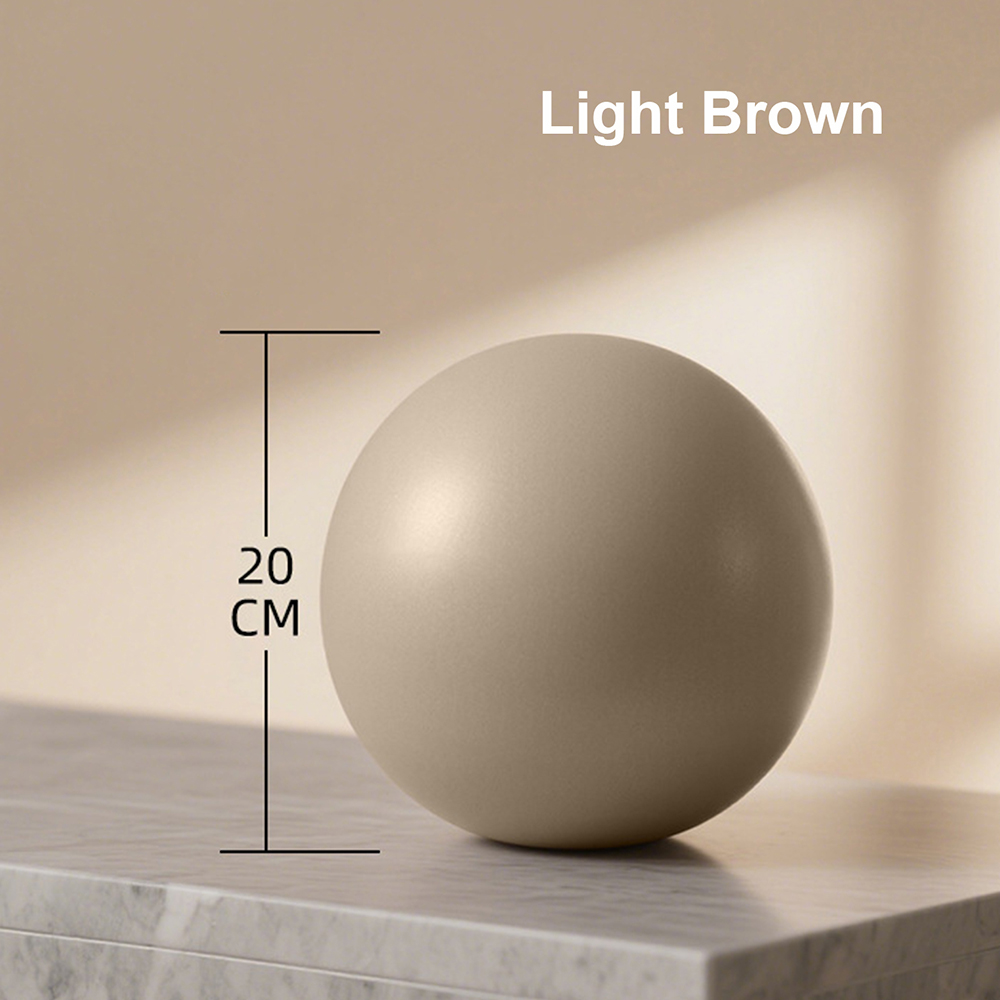 20cm Matte Exercise Ball Barre - Pilates Yoga Matte 评论和价格