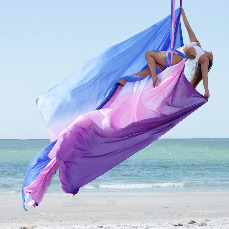 Aerial Yoga Swing, Durable Nyl - Home Pilates Yoga 评论和价格